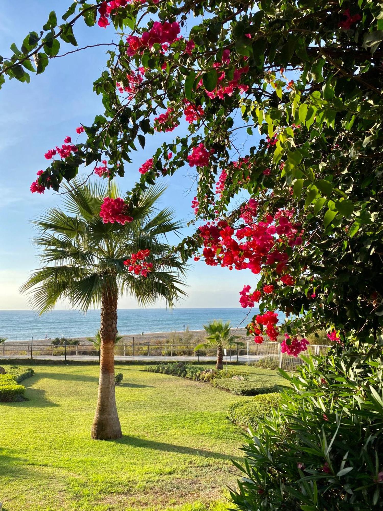 Sunshine Front Complex, Wifi, Modern Apartment